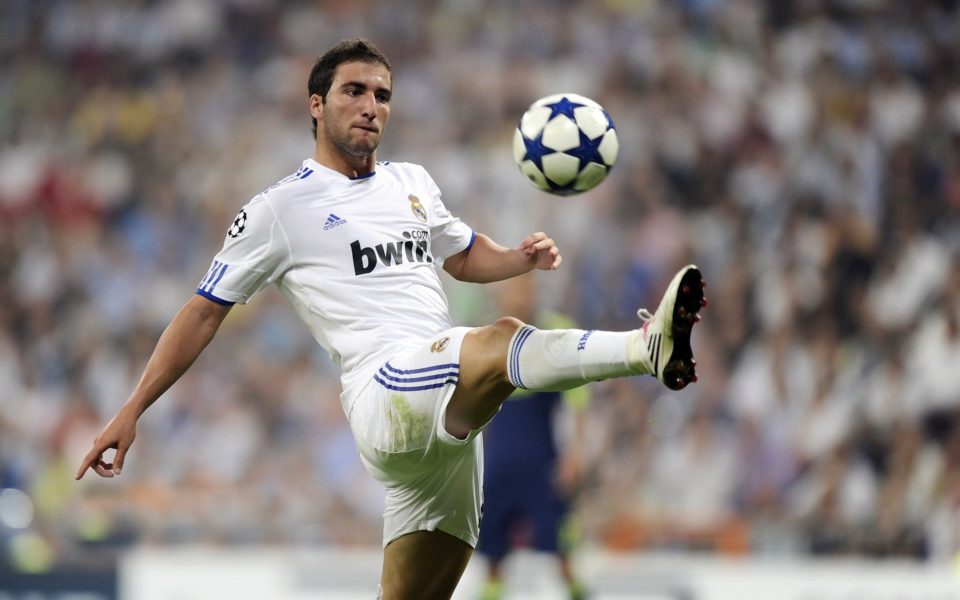 体育赛事经济影响报告