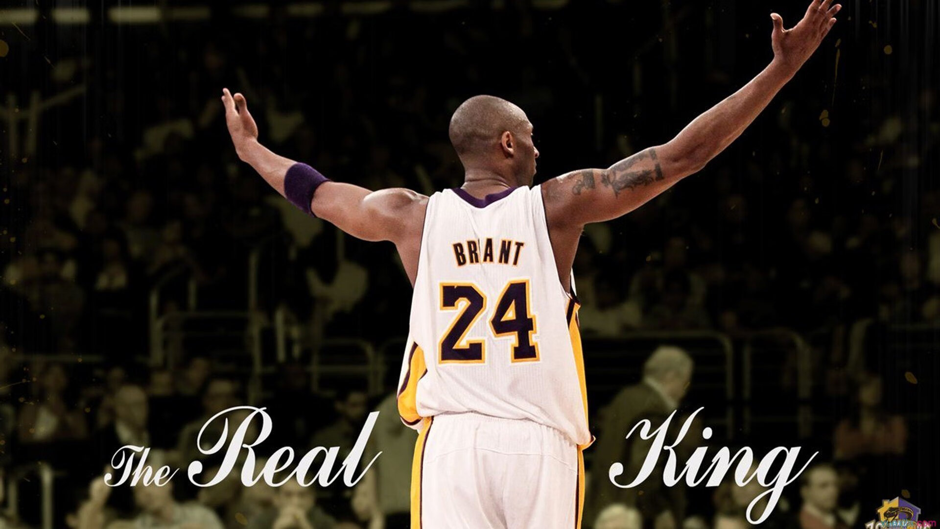 健身房训练完整指南